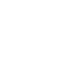 Marine Icon