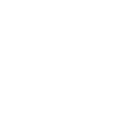 Steel Icon